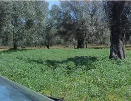 Aste giudiziarie immobiliari online - 6.0