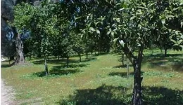 Aste giudiziarie immobiliari online - 12.0