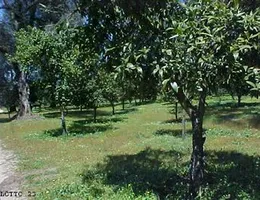 Aste giudiziarie immobiliari online - 11.0