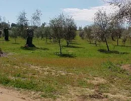 Aste giudiziarie immobiliari online - 3.0