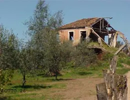 Aste giudiziarie immobiliari online - 8.0