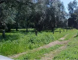 Aste giudiziarie immobiliari online - 11.0