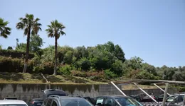 Aste giudiziarie immobiliari online - 6.0