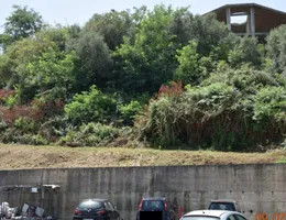 Aste giudiziarie immobiliari online - 10.0