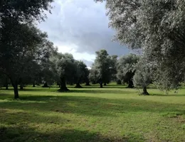 Aste giudiziarie immobiliari online - 9.0