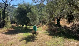 Aste giudiziarie immobiliari online - 1.0
