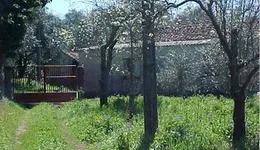 Aste giudiziarie immobiliari online - 10.0
