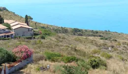 Aste giudiziarie immobiliari online - 2.0