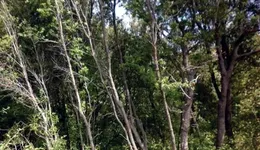 Aste giudiziarie immobiliari online - 12.0