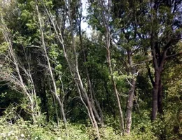 Aste giudiziarie immobiliari online - 4.0