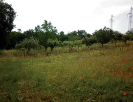 Aste giudiziarie immobiliari online - 7.0