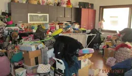 Aste giudiziarie immobiliari online - 6.0