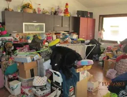 Aste giudiziarie immobiliari online - 2.0