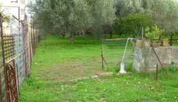 Aste giudiziarie immobiliari online - 6.0