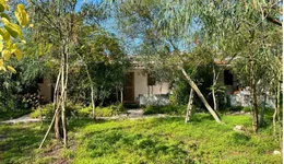 Aste giudiziarie immobiliari online - 9.0