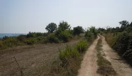 Aste giudiziarie immobiliari online - 4.0