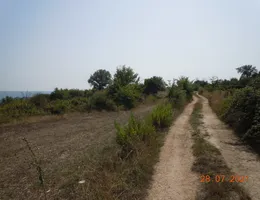 Aste giudiziarie immobiliari online - 5.0