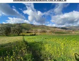 Aste giudiziarie immobiliari online - 10.0