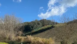 Aste giudiziarie immobiliari online - 3.0