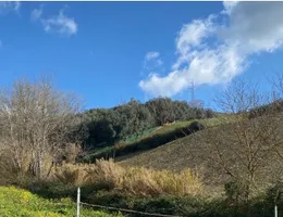 Aste giudiziarie immobiliari online - 3.0