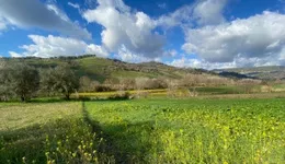 Aste giudiziarie immobiliari online - 8.0