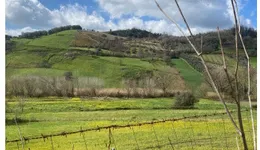 Aste giudiziarie immobiliari online - 8.0