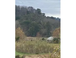 Aste giudiziarie immobiliari online - 10.0