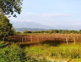 Aste giudiziarie immobiliari online - 4.0