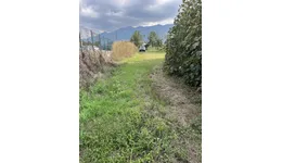 Aste giudiziarie immobiliari online - 10.0