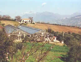 Aste giudiziarie immobiliari online - 1.0