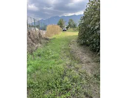 Aste giudiziarie immobiliari online - 3.0