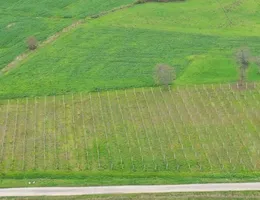 Aste giudiziarie immobiliari online - 11.0