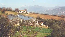 Aste giudiziarie immobiliari online - 10.0