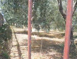 Aste giudiziarie immobiliari online - 7.0