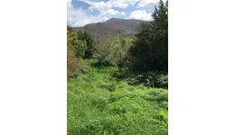 Aste giudiziarie immobiliari online - 9.0