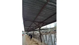 Aste giudiziarie immobiliari online - 3.0