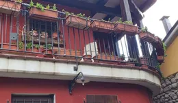 Aste giudiziarie immobiliari online - 3.0