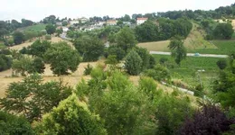 Aste giudiziarie immobiliari online - 2.0