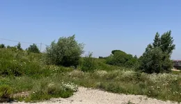 Aste giudiziarie immobiliari online - 11.0
