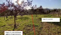 Aste giudiziarie immobiliari online - 9.0
