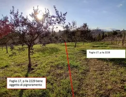 Aste giudiziarie immobiliari online - 9.0