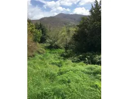 Aste giudiziarie immobiliari online - 5.0