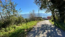 Aste giudiziarie immobiliari online - 8.0