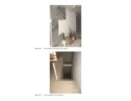 Aste giudiziarie immobiliari online - 7.0