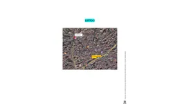 Aste giudiziarie immobiliari online - 3.0