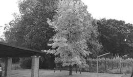 Aste giudiziarie immobiliari online - 7.0