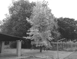 Aste giudiziarie immobiliari online - 6.0