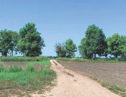 Aste giudiziarie immobiliari online - 7.0