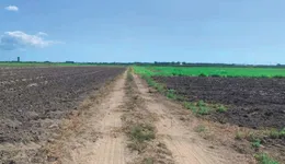 Aste giudiziarie immobiliari online - 7.0