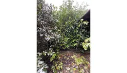 Aste giudiziarie immobiliari online - 11.0